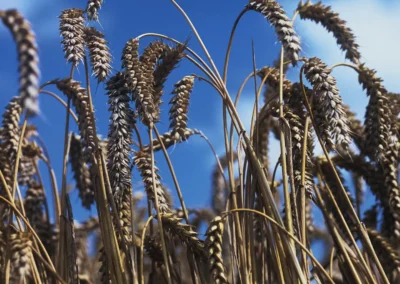 Kees Stuip photography portfolio example