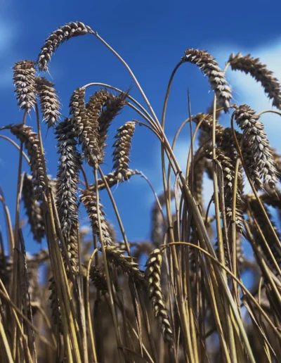 Kees Stuip photography portfolio example