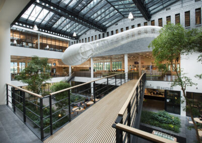 Kees Stuip photography portfolio example