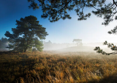 Kees Stuip photography portfolio example