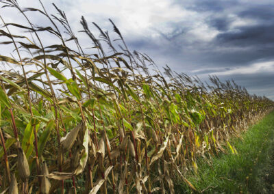 Kees Stuip photography portfolio example