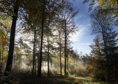 Kees Stuip photography portfolio example