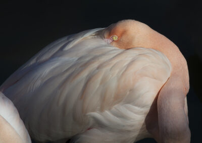 Kees Stuip photography portfolio example