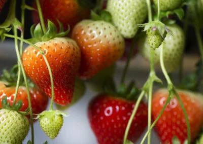 Kees Stuip photography portfolio example